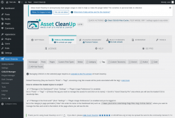 Page screenshot: Asset CleanUp &rarr; CSS/JS Manager &rarr;  Tag