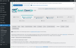 Page screenshot: Asset CleanUp &rarr; CSS/JS Manager &rarr;  Search