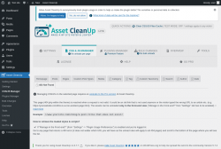 Page screenshot: Asset CleanUp &rarr; CSS/JS Manager &rarr;  404 Not Found