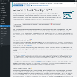Page screenshot: Asset CleanUp
