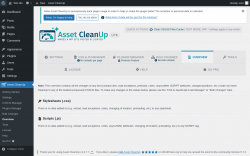 Page screenshot: Asset CleanUp &rarr; Overview