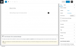 Page screenshot: Add New Post &lsaquo; Test site &mdash; WordPress
