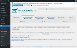 Page screenshot: Asset CleanUp &rarr; CSS/JS Manager