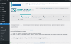 Page screenshot: Asset CleanUp &rarr; CSS/JS Manager &rarr; Pages