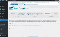 Page screenshot: Asset CleanUp &rarr; Overview