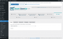 Page screenshot: Asset CleanUp &rarr; Tools