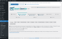 Page screenshot: Asset CleanUp &rarr; CSS/JS Manager