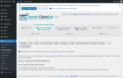 Page screenshot: Asset CleanUp &rarr; CSS/JS Manager &rarr;  Date