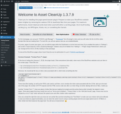 Page screenshot: Asset CleanUp &rarr; Start Optimization