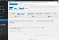 Page screenshot: Asset CleanUp &rarr; CSS/JS Manager &rarr;  Tag