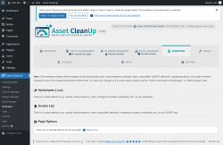 Page screenshot: Asset CleanUp &rarr; Overview