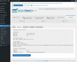 Page screenshot: Asset CleanUp &rarr; Tools &rarr; System Info
