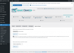 Page screenshot: Asset CleanUp &rarr; Tools &rarr; Import & Export