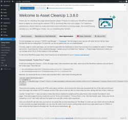 Page screenshot: Asset CleanUp &rarr; Start Optimization
