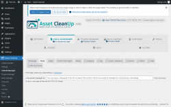 Page screenshot: Asset CleanUp &rarr; CSS/JS Manager &rarr; Posts