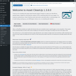 Page screenshot: Asset CleanUp &lsaquo; Test site &mdash; WordPress