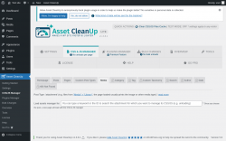 Page screenshot: Asset CleanUp &rarr; CSS/JS Manager &rarr; Media