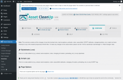 Page screenshot: Asset CleanUp &rarr; Overview