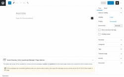 Page screenshot: Add New Post &lsaquo; Test site &mdash; WordPress