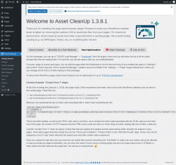 Page screenshot: Asset CleanUp &rarr; Start Optimization