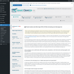Page screenshot: Settings &rarr; Asset CleanUp