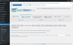Page screenshot: Asset CleanUp &rarr; CSS/JS Manager &rarr; Custom Post Types