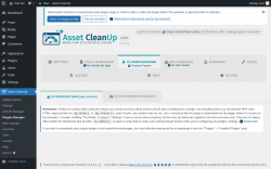 Page screenshot: Asset CleanUp &rarr; Plugins Manager