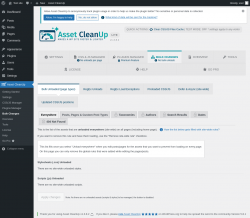 Page screenshot: Asset CleanUp &rarr; Bulk Changes