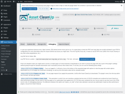 Page screenshot: Asset CleanUp &rarr; Tools &rarr; Debugging