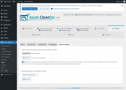 Page screenshot: Asset CleanUp &rarr; Tools &rarr; Import & Export