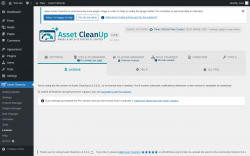 Page screenshot: Asset CleanUp &rarr; License