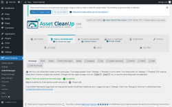 Page screenshot: Asset CleanUp &rarr; CSS/JS Manager