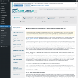 Page screenshot: Settings &rarr; Asset CleanUp