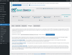 Page screenshot: Asset CleanUp &rarr; Tools &rarr; Debugging