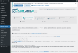 Page screenshot: Asset CleanUp &rarr; CSS/JS Manager &rarr;  Category