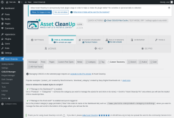 Page screenshot: Asset CleanUp &rarr; CSS/JS Manager &rarr;  Custom Taxonomy