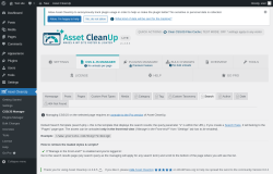 Page screenshot: Asset CleanUp &rarr; CSS/JS Manager &rarr;  Search