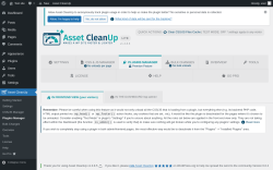 Page screenshot: Asset CleanUp &rarr; Plugins Manager