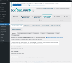 Page screenshot: Asset CleanUp &rarr; Bulk Changes