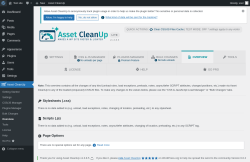 Page screenshot: Asset CleanUp &rarr; Overview