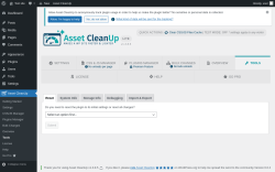Page screenshot: Asset CleanUp &rarr; Tools