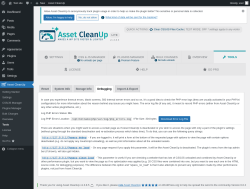 Page screenshot: Asset CleanUp &rarr; Tools &rarr; Debugging