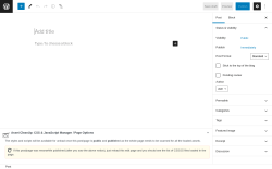Page screenshot: Add New Post &lsaquo; Test site &mdash; WordPress