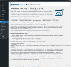 Page screenshot: Asset CleanUp &rarr; Start Optimization