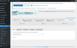 Page screenshot: Asset CleanUp &rarr; Tools
