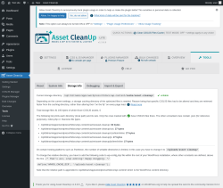 Page screenshot: Asset CleanUp &rarr; Tools &rarr; Storage Info