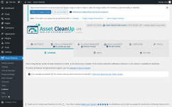 Page screenshot: Asset CleanUp &rarr; License