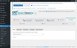 Page screenshot: Asset CleanUp &rarr; Tools