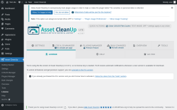 Page screenshot: Asset CleanUp &rarr; License