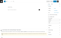 Page screenshot: Add New Post &lsaquo; Test site &mdash; WordPress